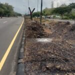 Anggaran Perawatan Taman Suramadu Terkait Pemotongan Batang Pohon; KKJSM Tahun 2025 Dipertanyakan ?!... IMG-20251020-WA0042