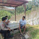Bhabinkamtibmas Desa Gendro Tinjau Tanaman Cabai Dalam Program Pekarangan Pangan Bergizi